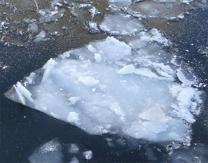 Eisscholle An der Fischerinsel