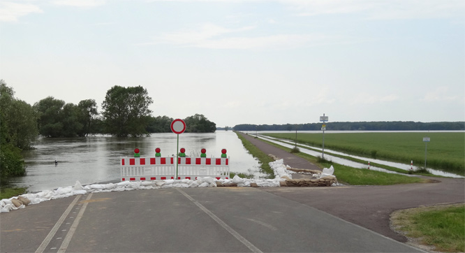 Hochwasser Elbe Elbenau