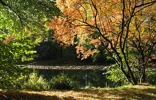 Herbst im Tiergarten, Berlin