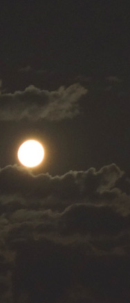 Mond in Phase 0,971, 17.06.2008, 1:31 h